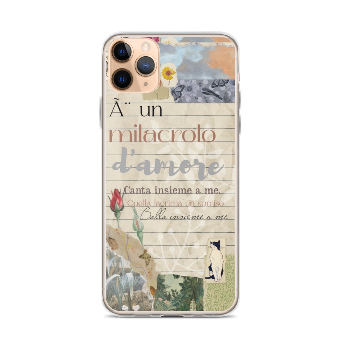 Transparent case of love