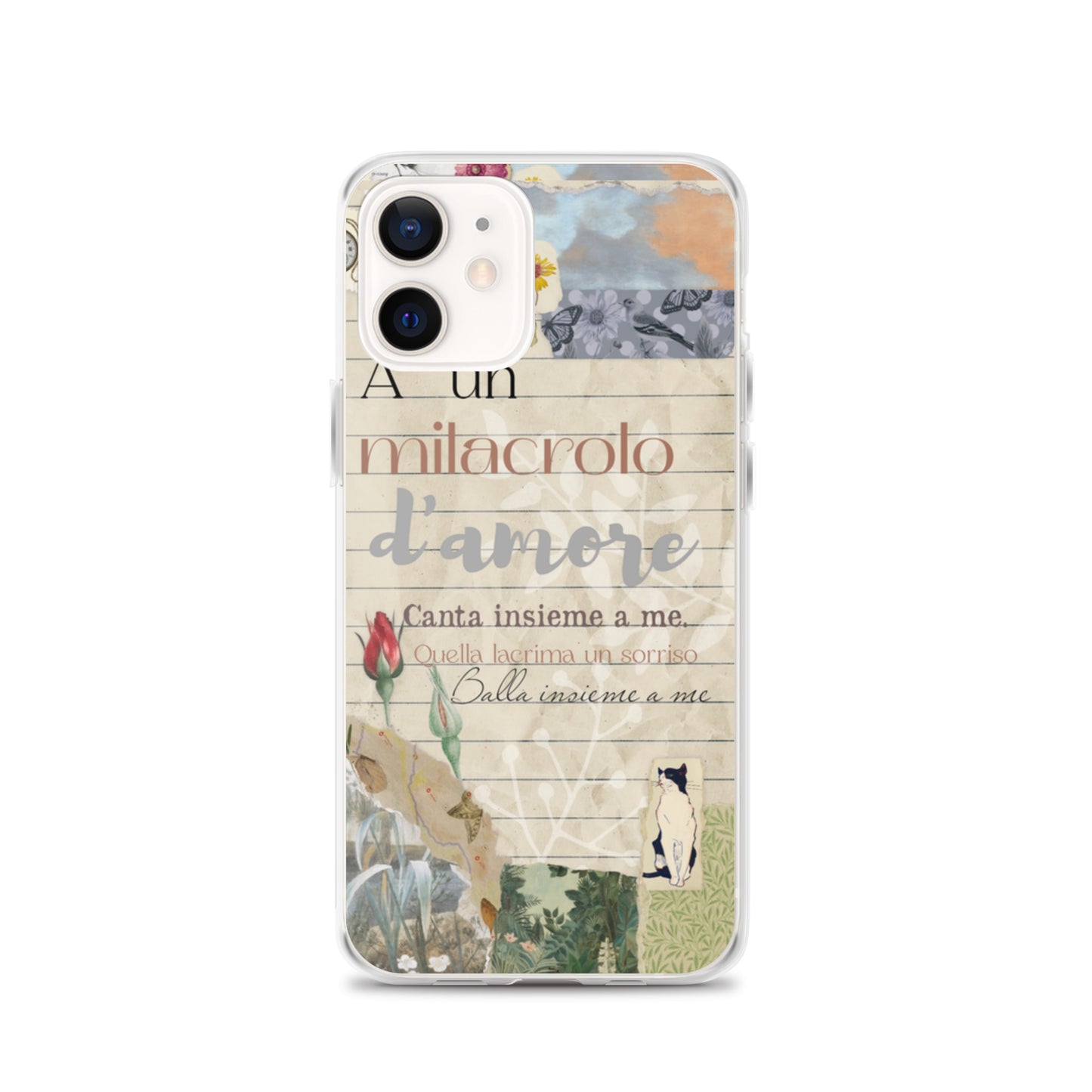 Transparent case of love