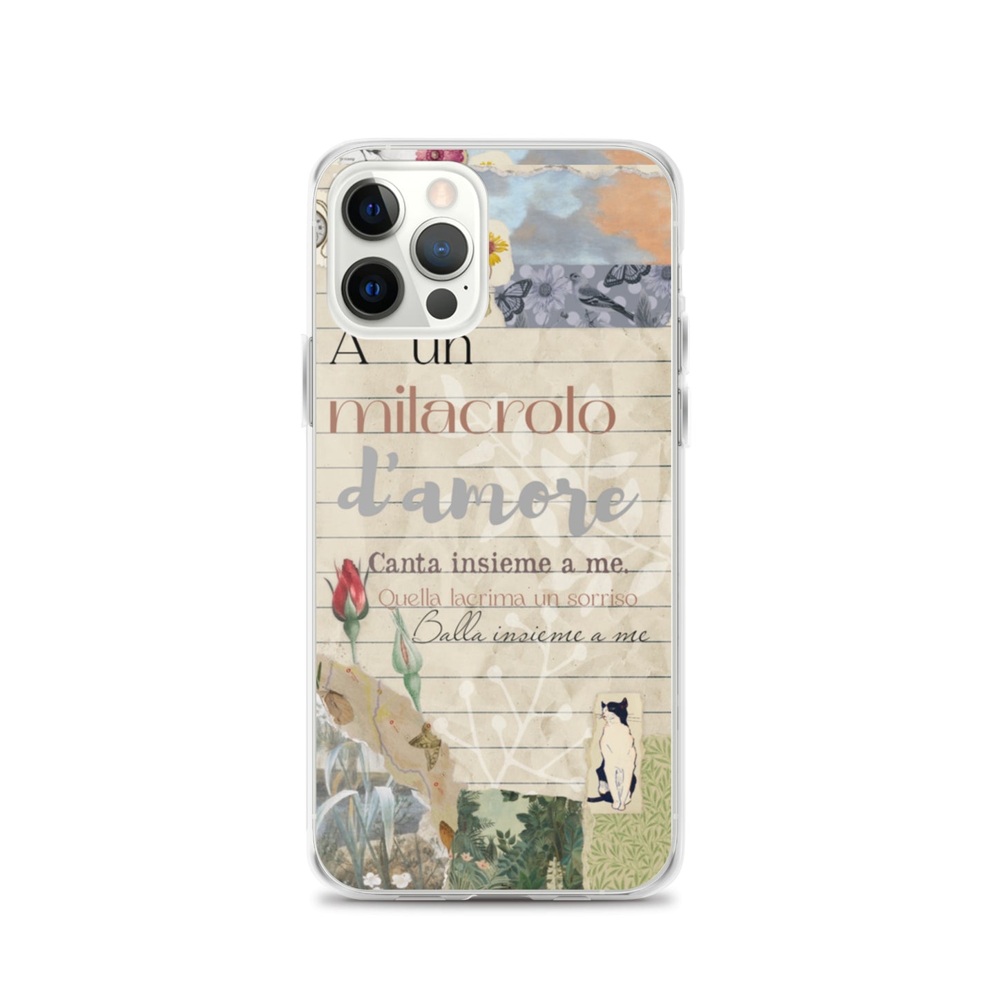 Transparent case of love