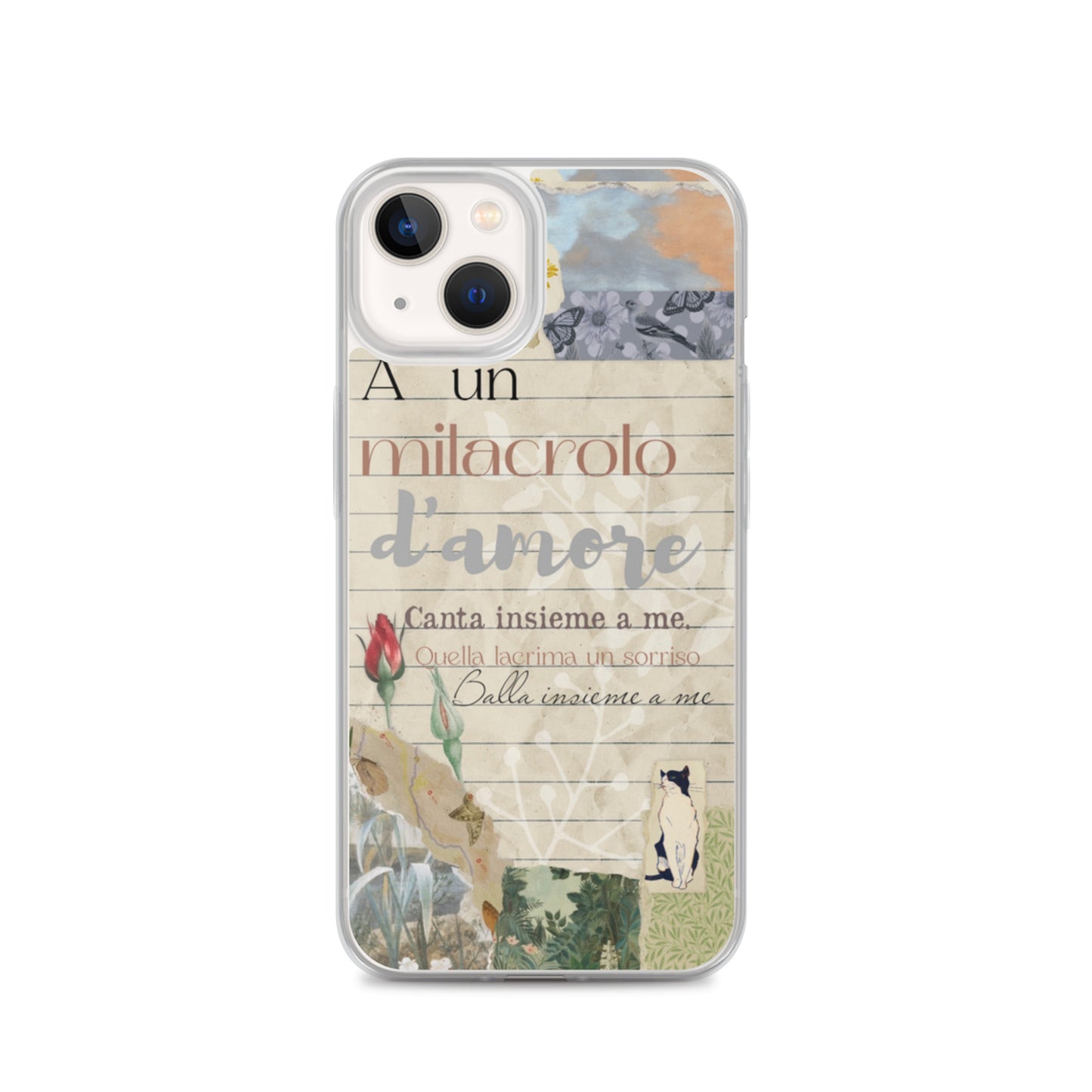 Transparent case of love
