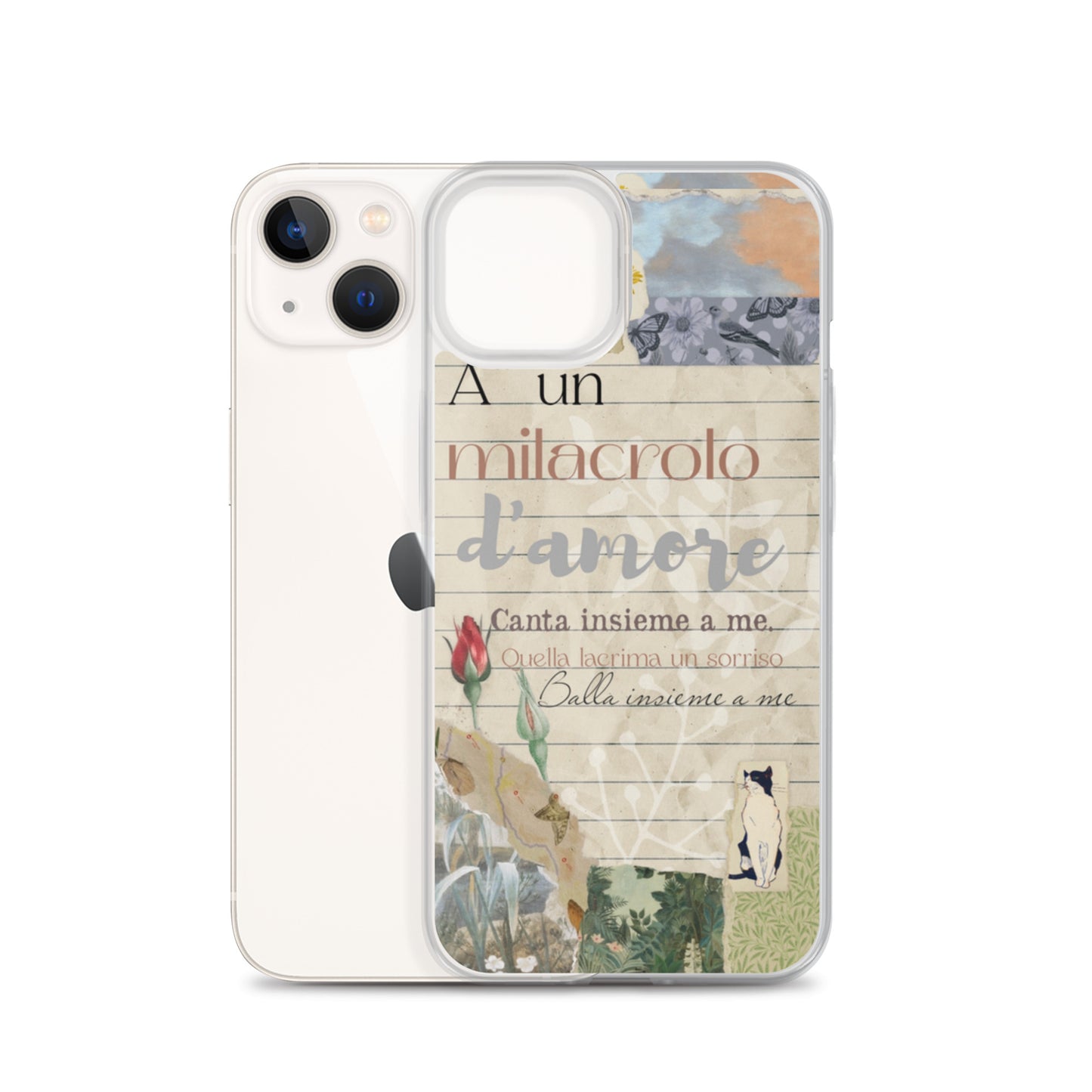 Transparent case of love