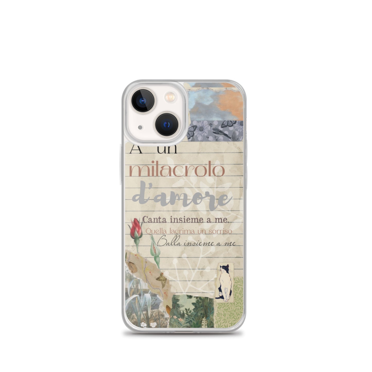 Transparent case of love
