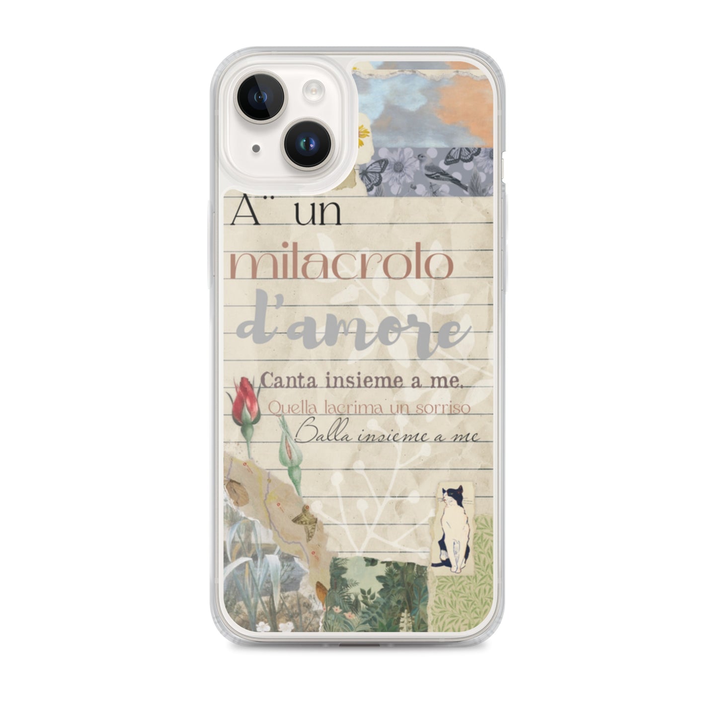 Transparent case of love