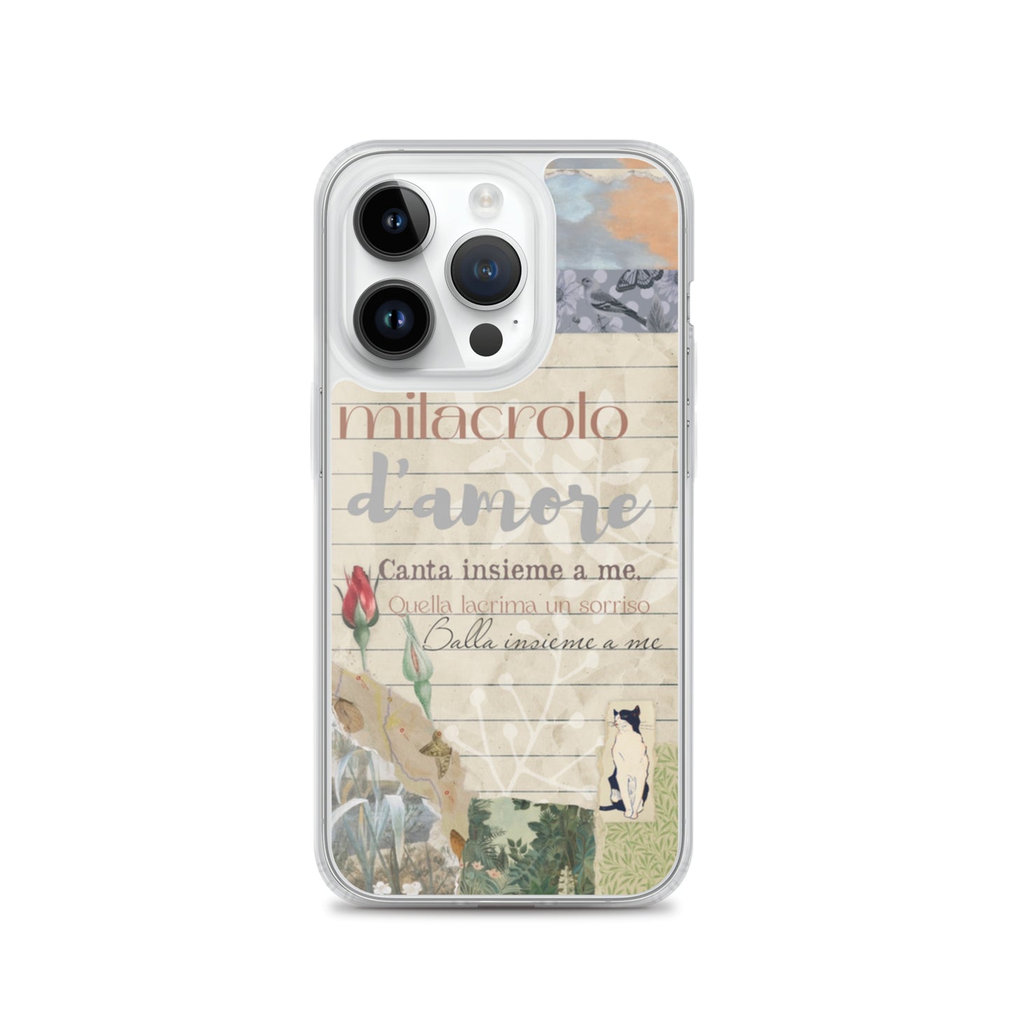 Transparent case of love
