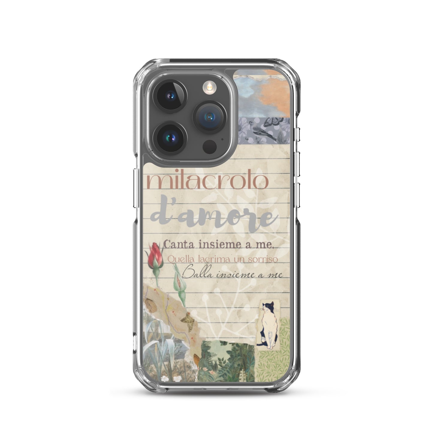 Transparent case of love