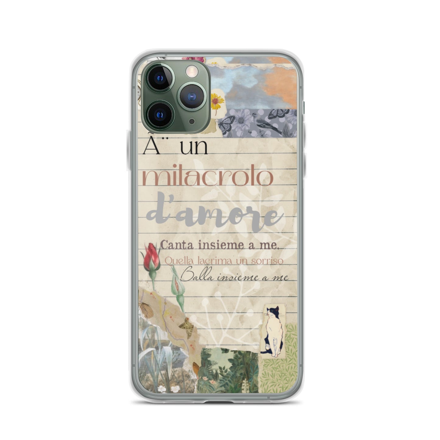 Funda transparente d'amore