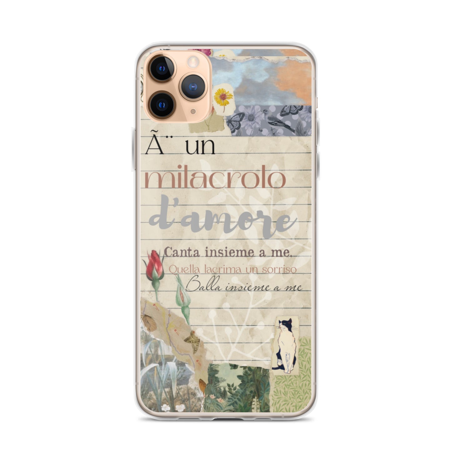 Funda transparente d'amore