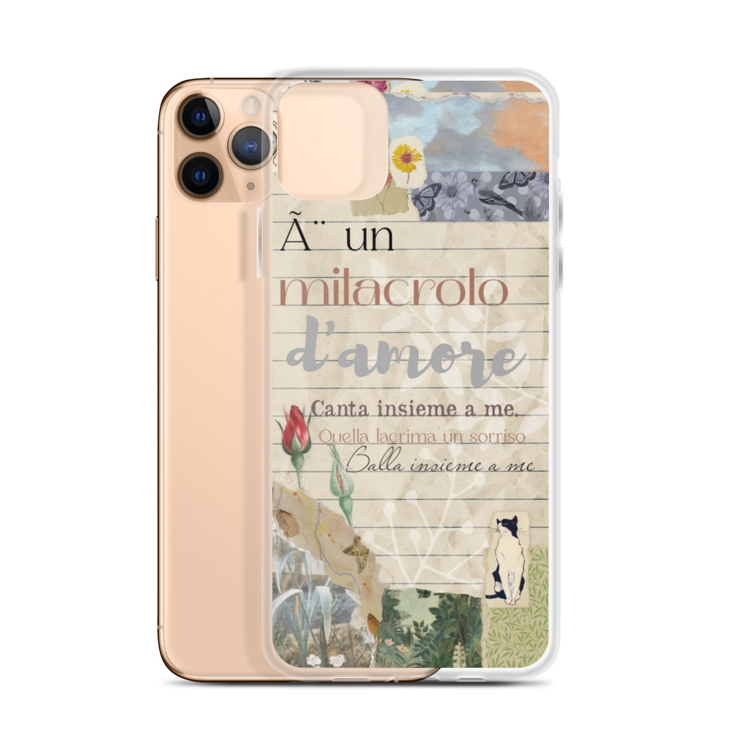 Funda transparente d'amore