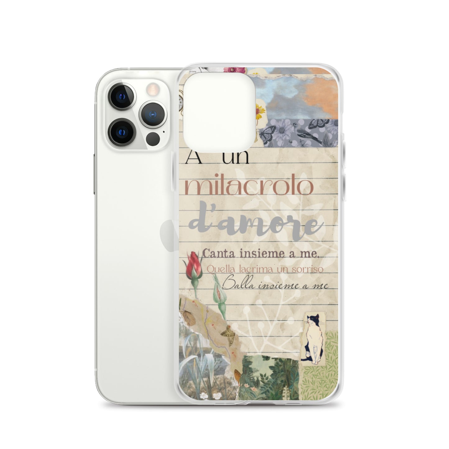 Funda transparente d'amore