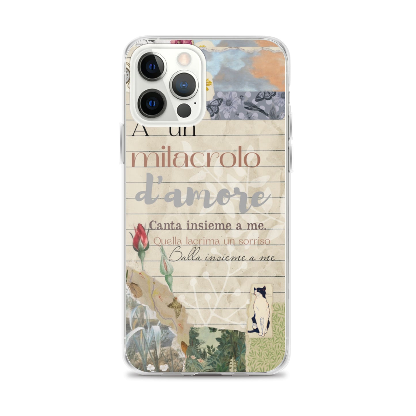 Funda transparente d'amore