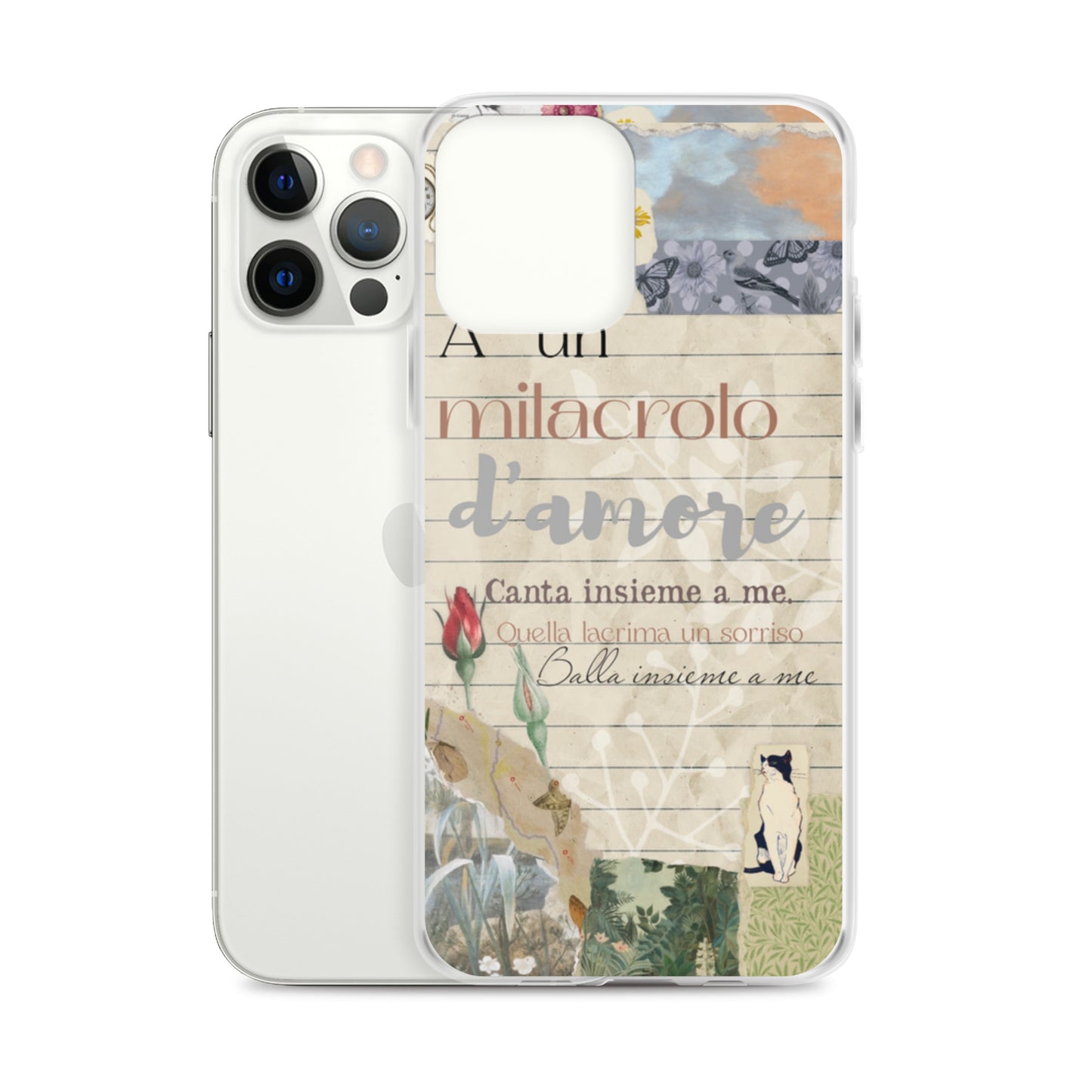 Funda transparente d'amore