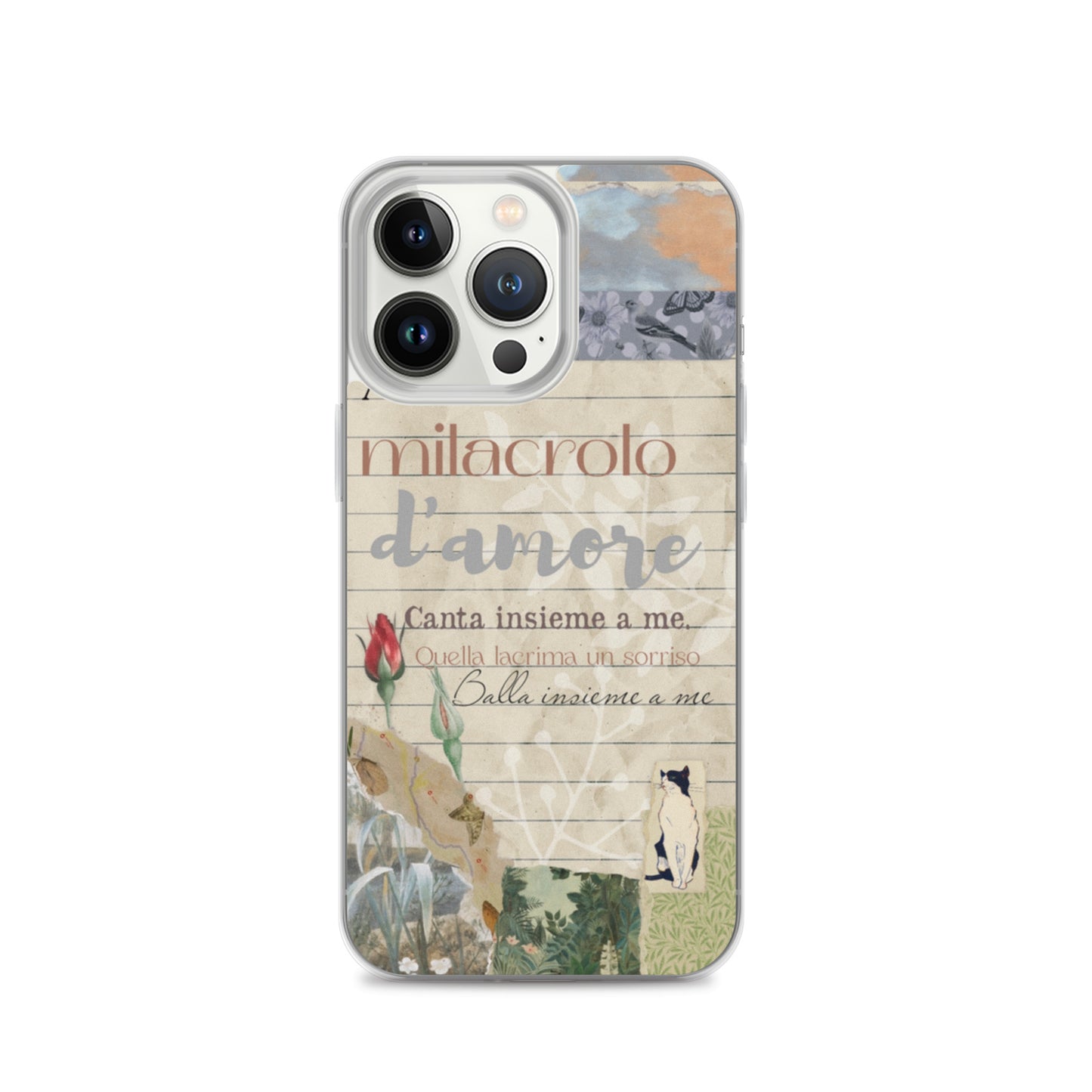 Funda transparente d'amore