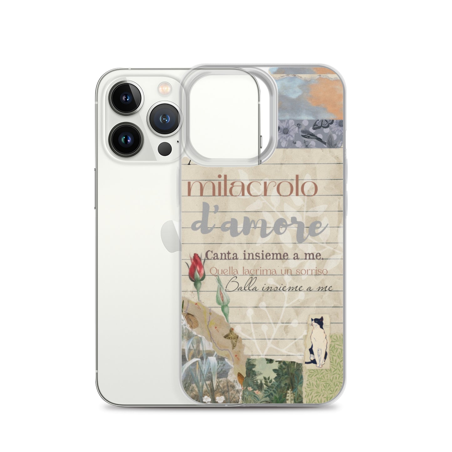 Funda transparente d'amore