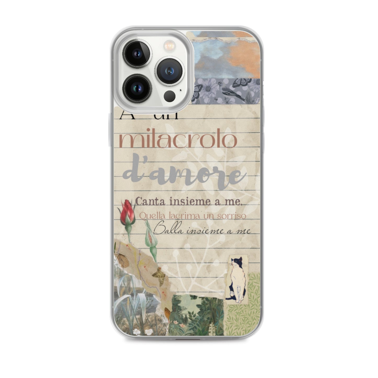 Funda transparente d'amore