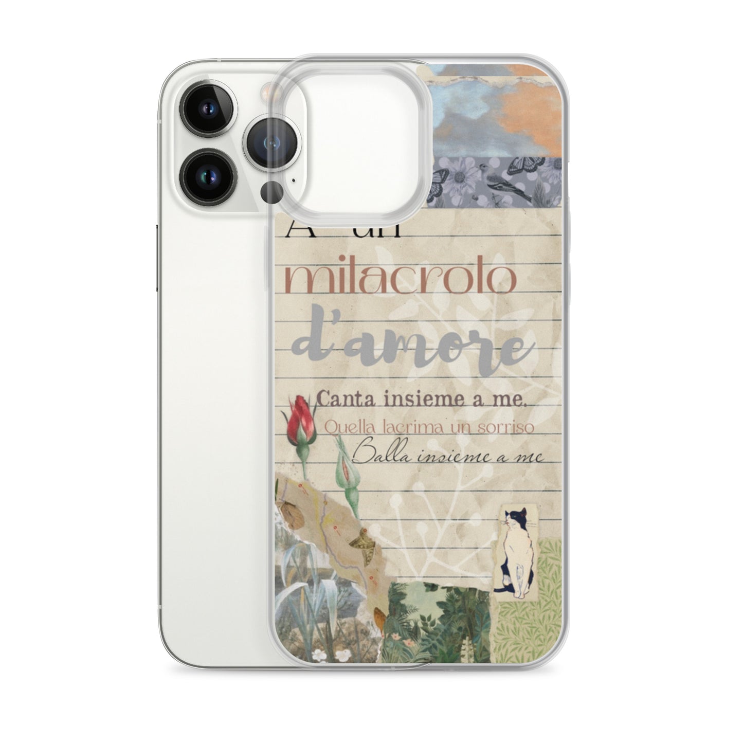 Funda transparente d'amore