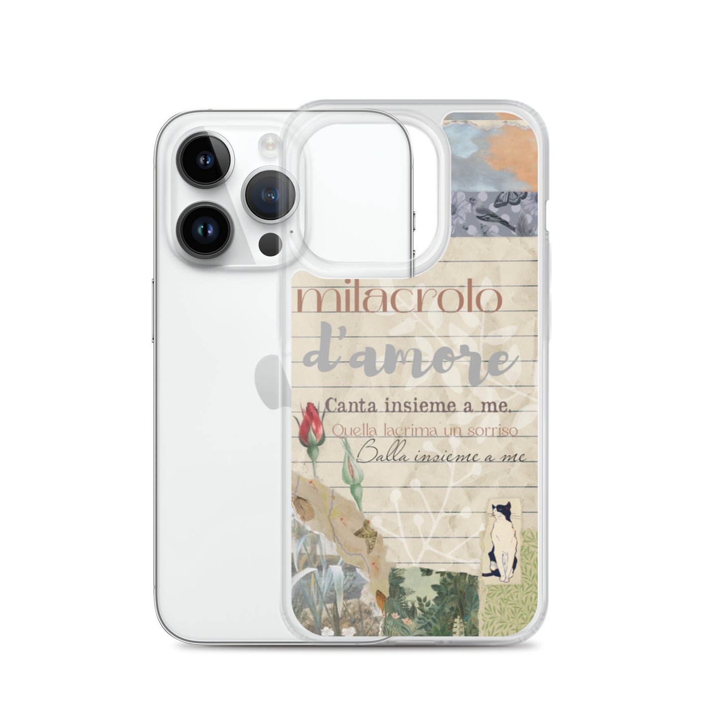 Funda transparente d'amore