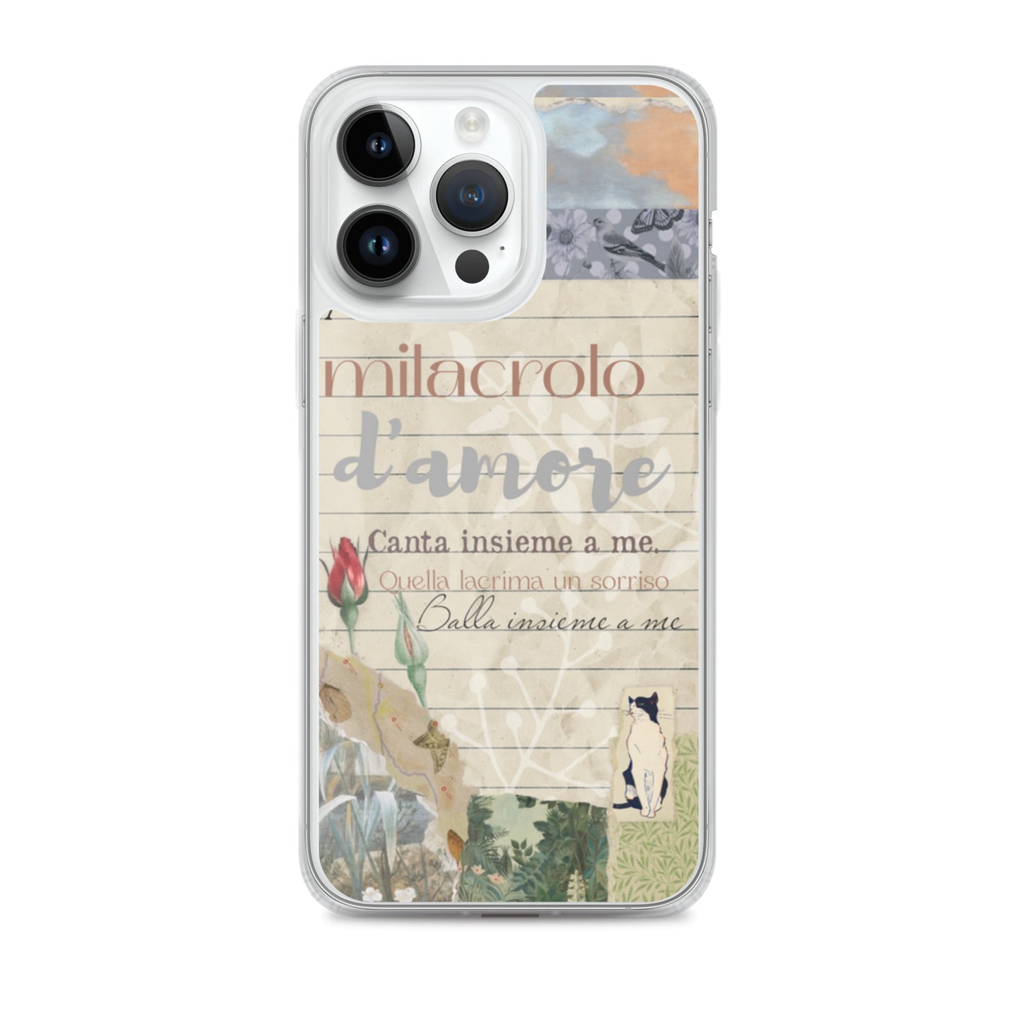 Funda transparente d'amore