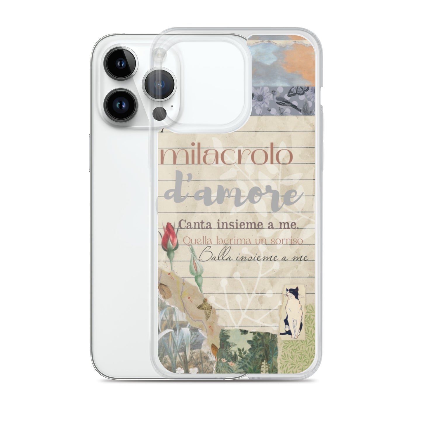 Funda transparente d'amore