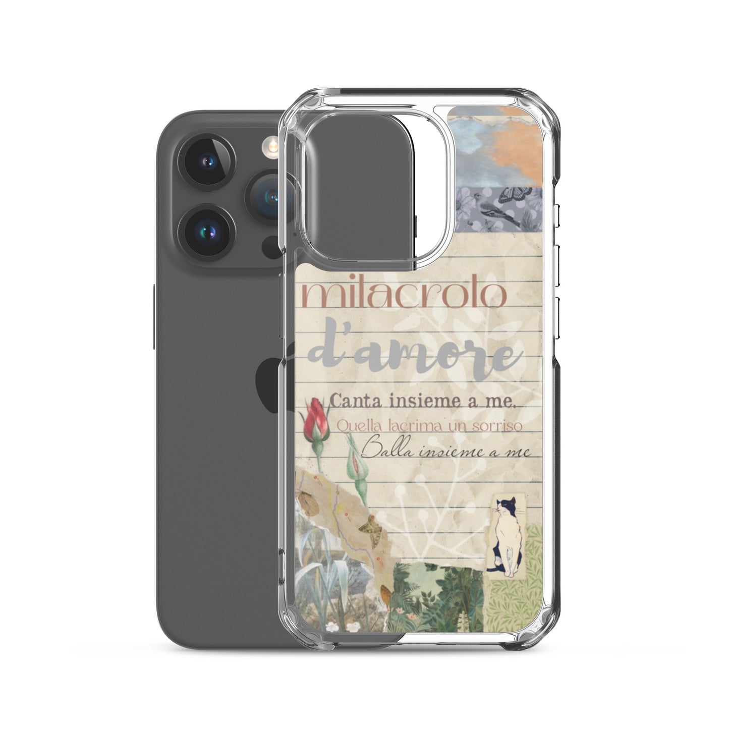 Funda transparente d'amore