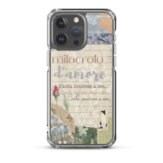 Funda transparente d'amore