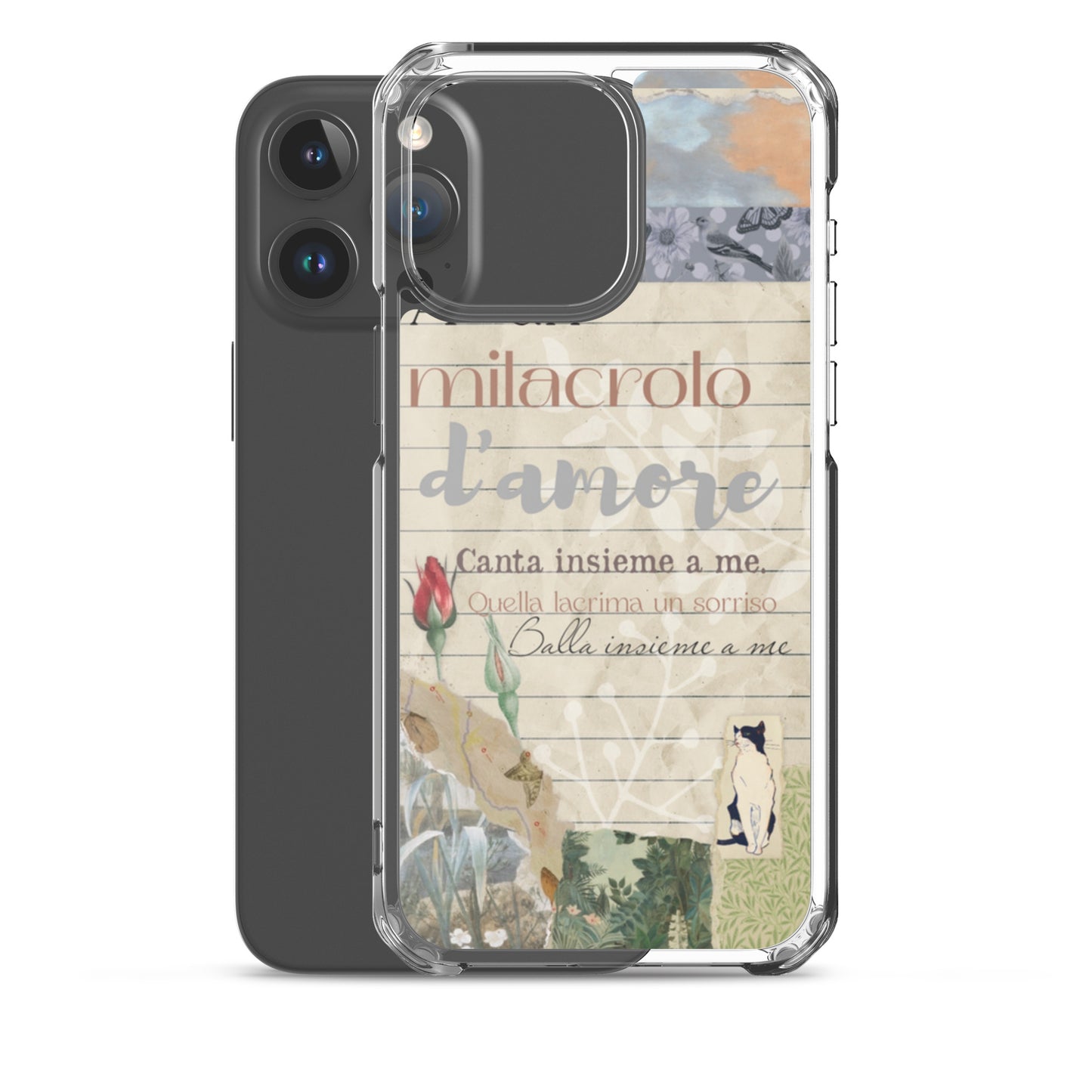 Funda transparente d'amore